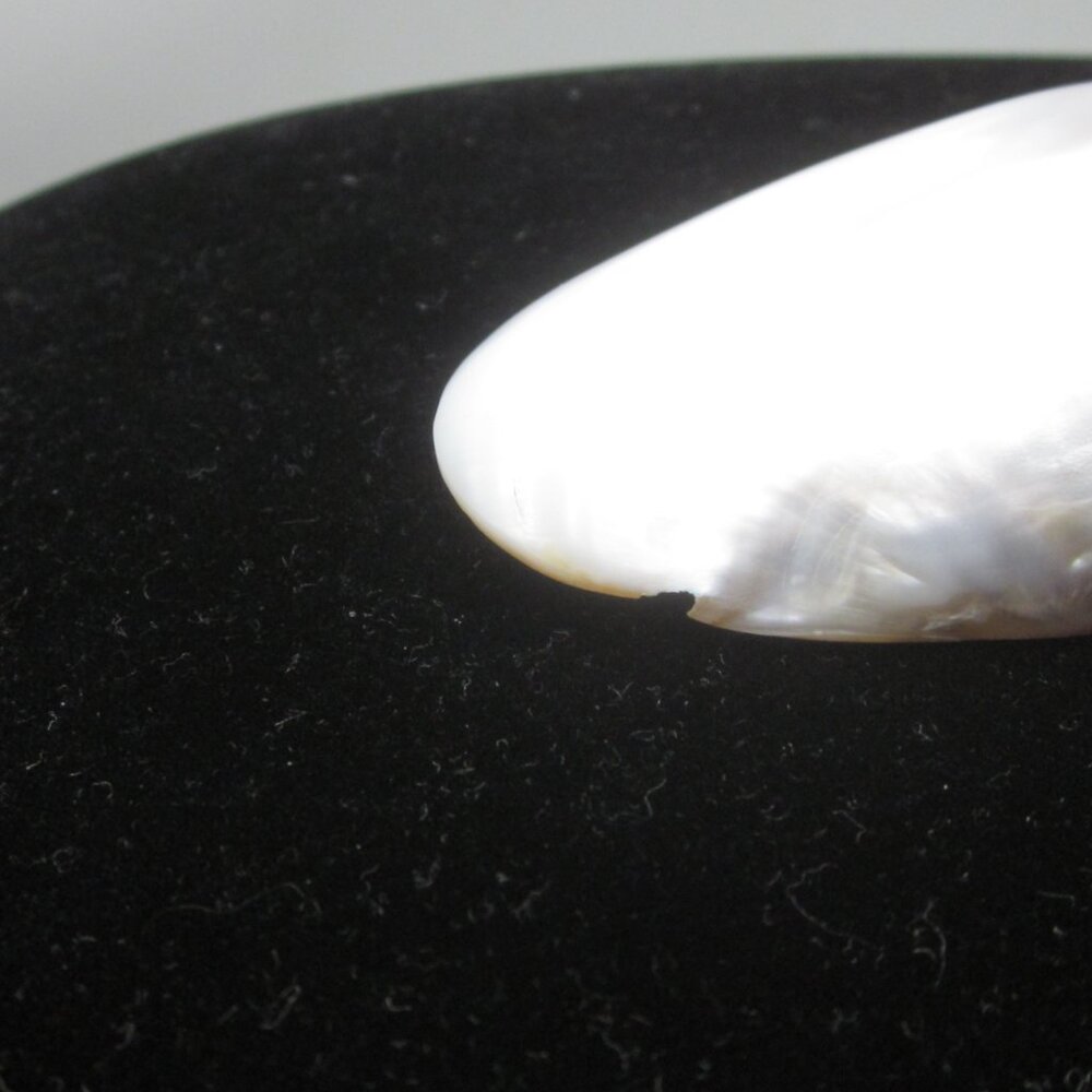 Vintage Shell Belt Clip Buckle Oval - Picture 3 of 5